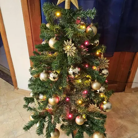 Apartment Afala Loft & Terrase - Heart Of Burgas City